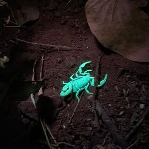 Meet your Posher, Janine